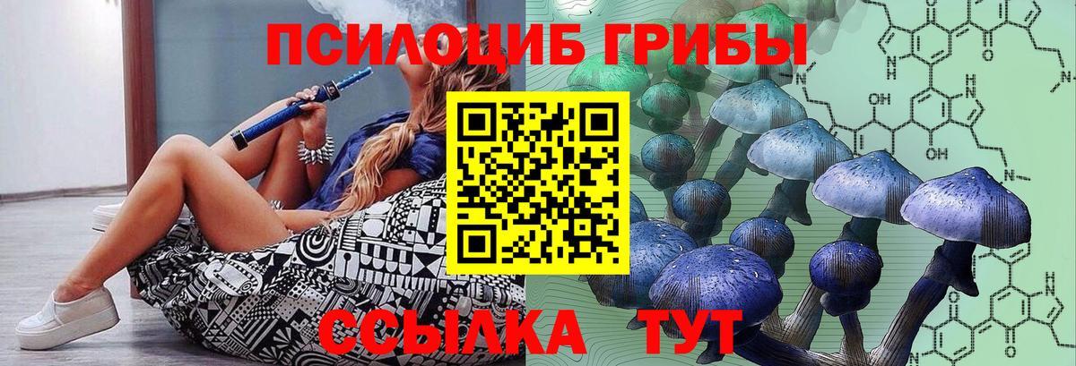 Псилоцибиновые грибы ЛСД Лосино-Петровский